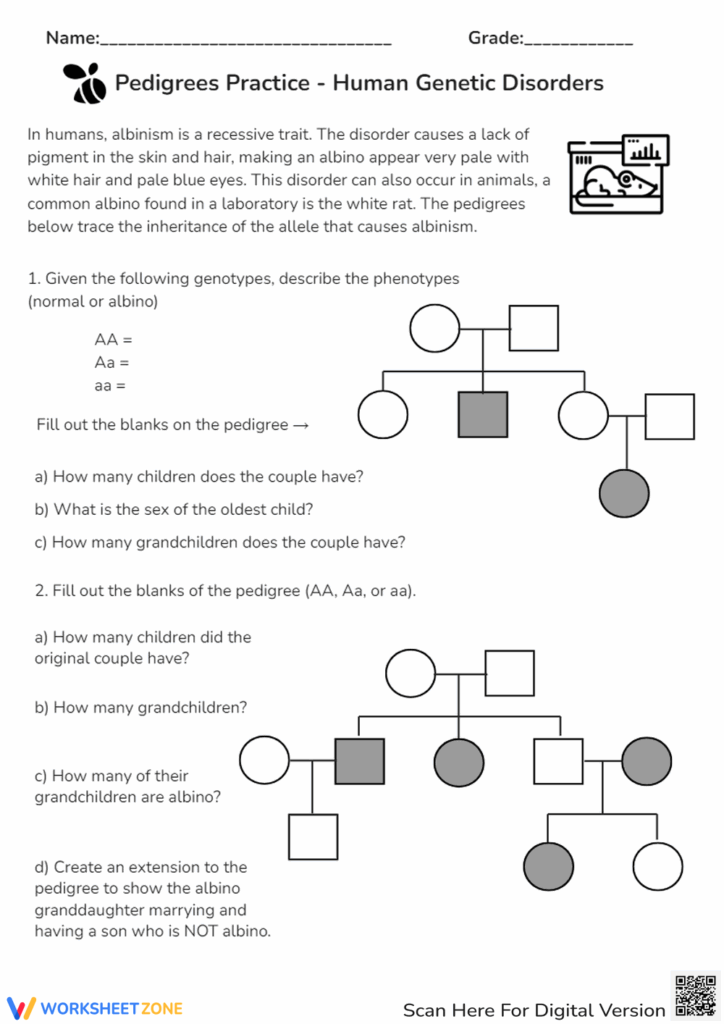 10 Free Printable Pedigree Worksheet Answers For Students Worksheets 