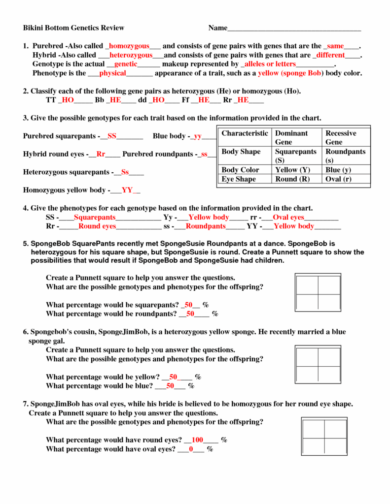 11 Best Images Of Genetics Pedigree Worksheet Answer Key Genetics 