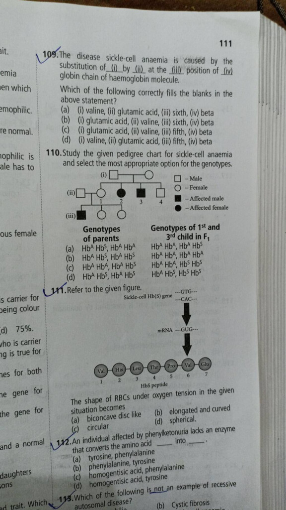 110 Study The Given Pedigree Chart For Sickle cell Anaemia And Select The 