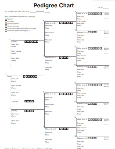 12 Generation Pedigree Chart Free