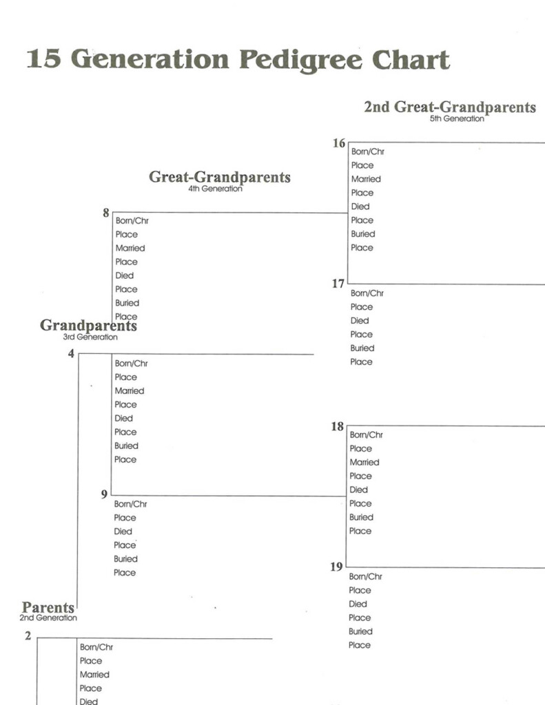 15 Generation Wall Chart Jigsaw Genealogy