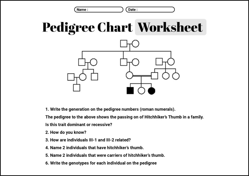 15 Pedigree Worksheet With Answer Key Free PDF At Worksheeto