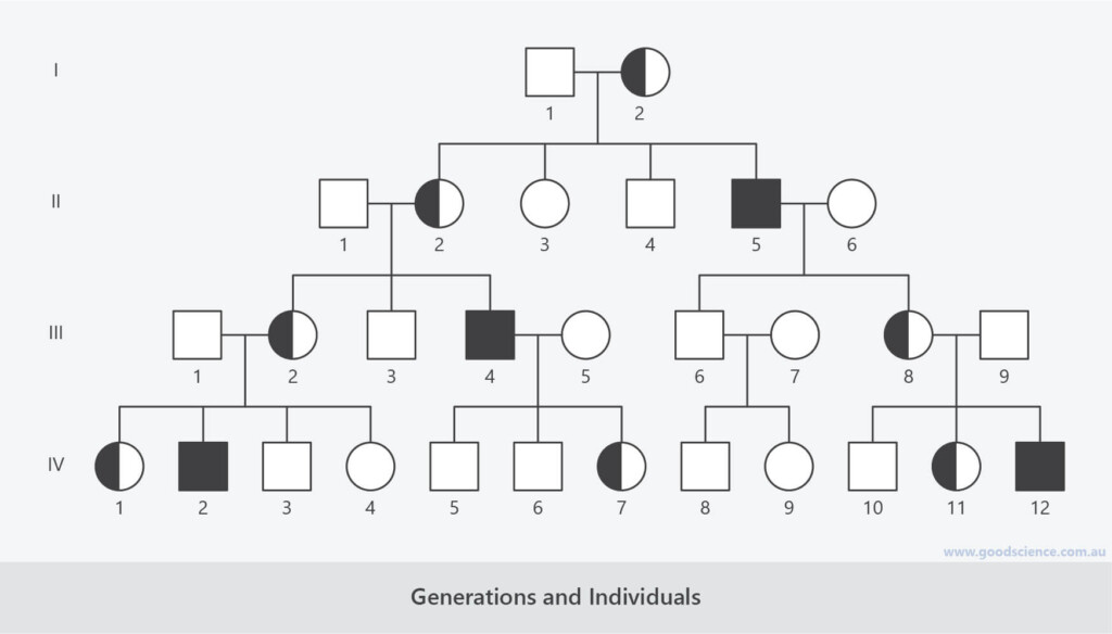 20 Generation Pedigree Chart 8 Generation Pedigree Chart Printable