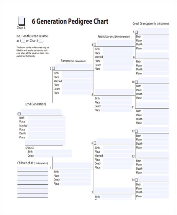 25 Chart Examples To Download