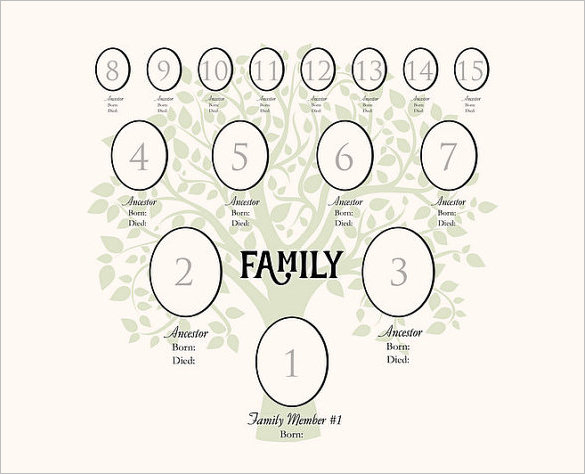4 Generation Family Tree Template 12 Free Sample Example Format 