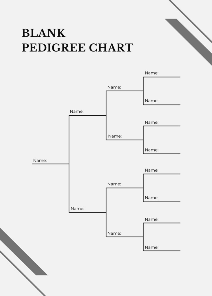 4 Generation Pedigree Chart In Illustrator PDF Download Template