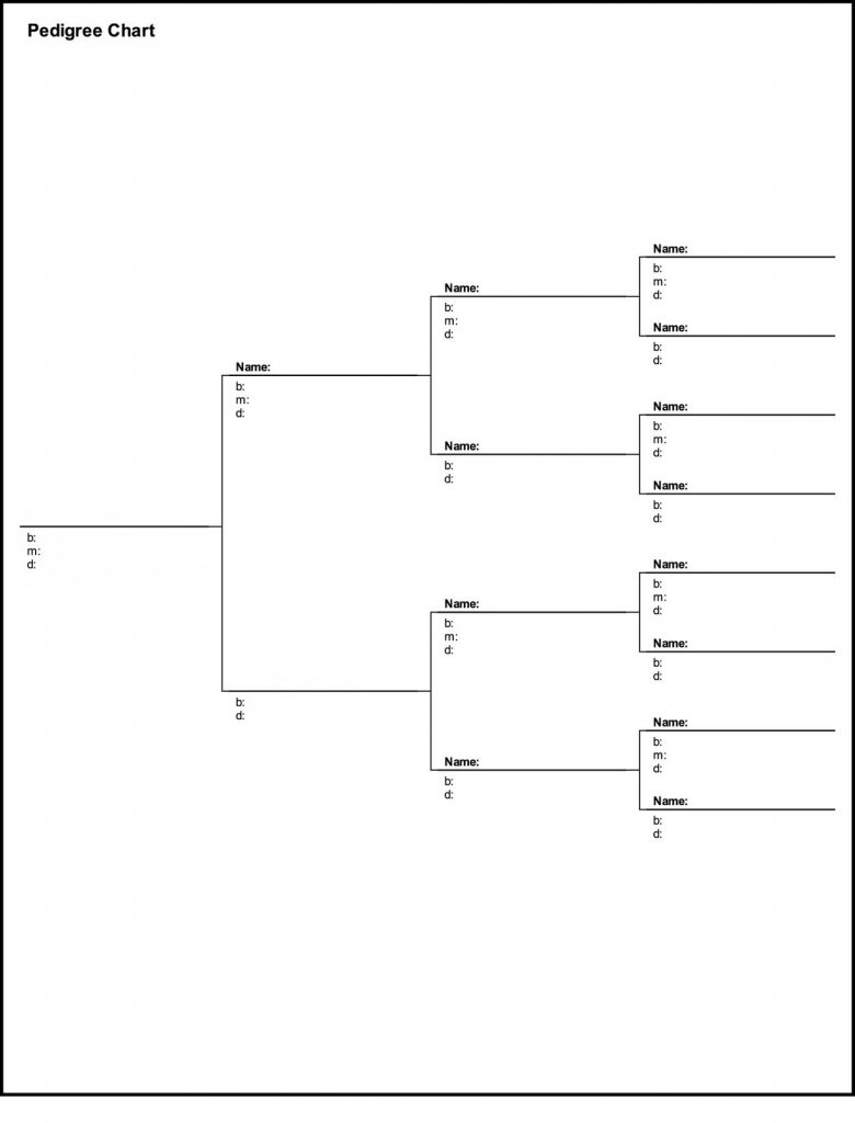 4 Generation Pedigree Chart Printable Archives Mavensocial co New 