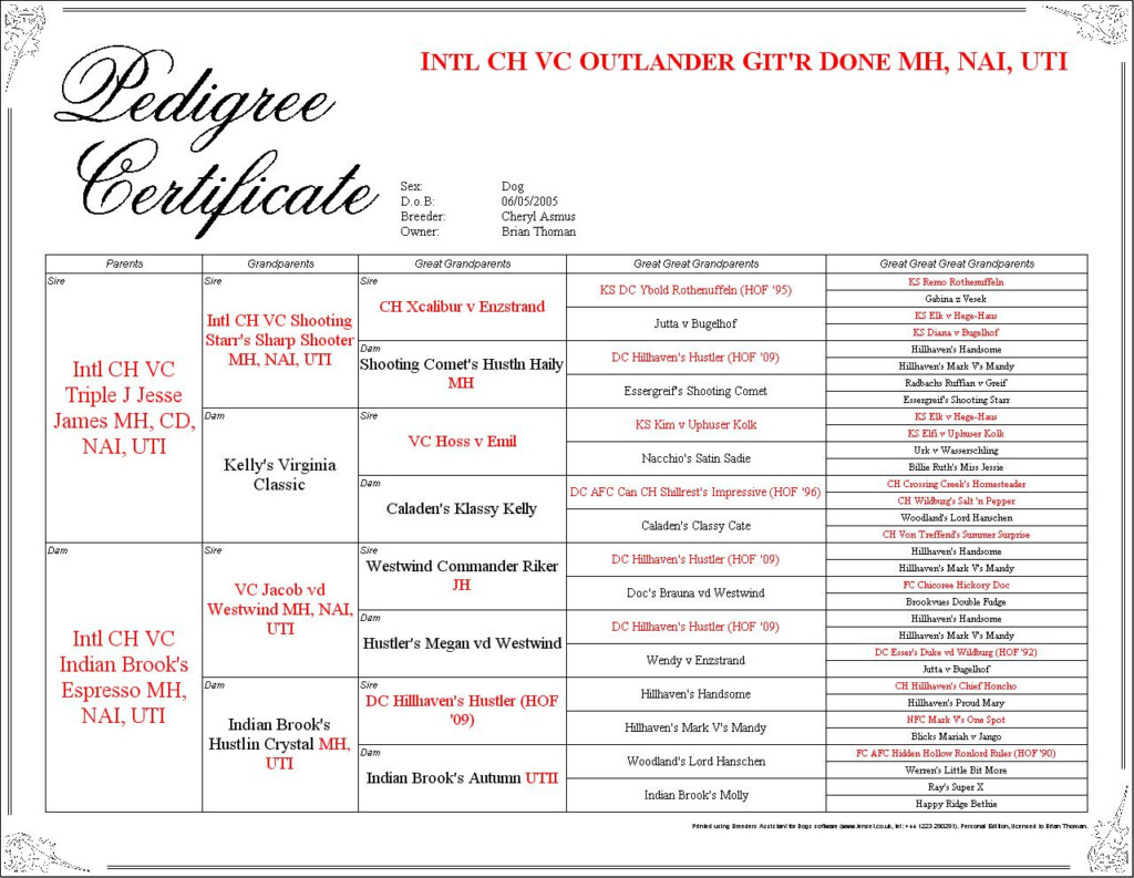 5 Generation Dog Pedigree Template Word