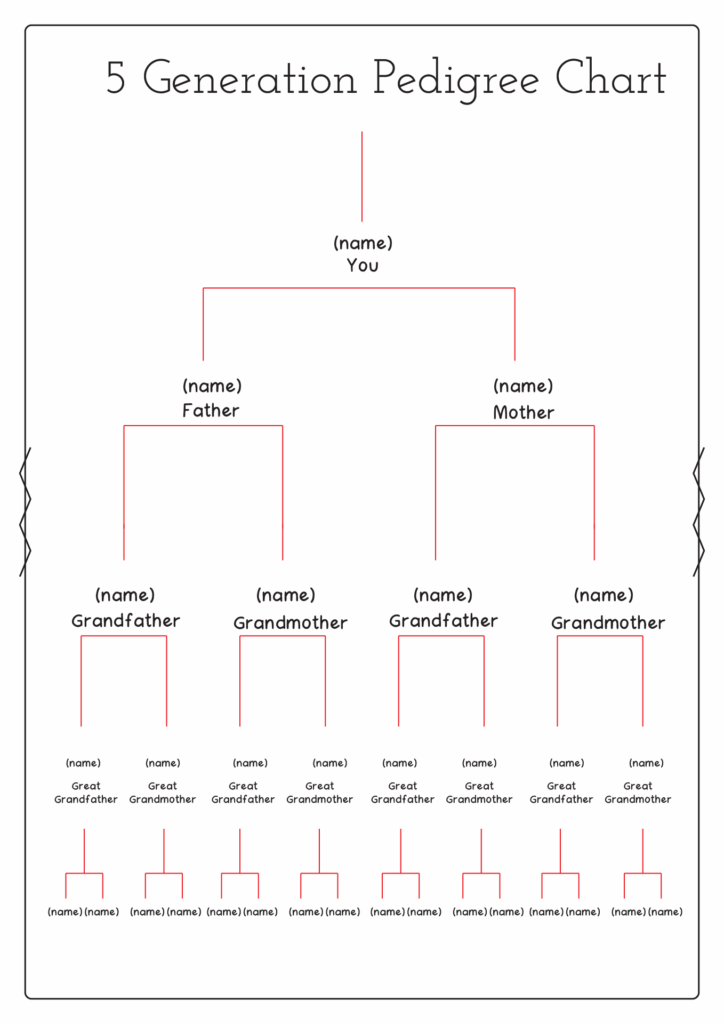 5 Generation Family Tree Chart Fillable Free 5 Generation Family Tree Chart
