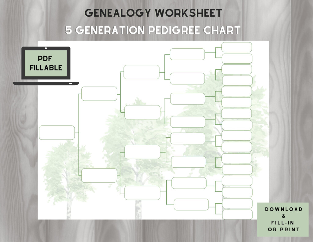 5 Generation Pedigree Chart Template
