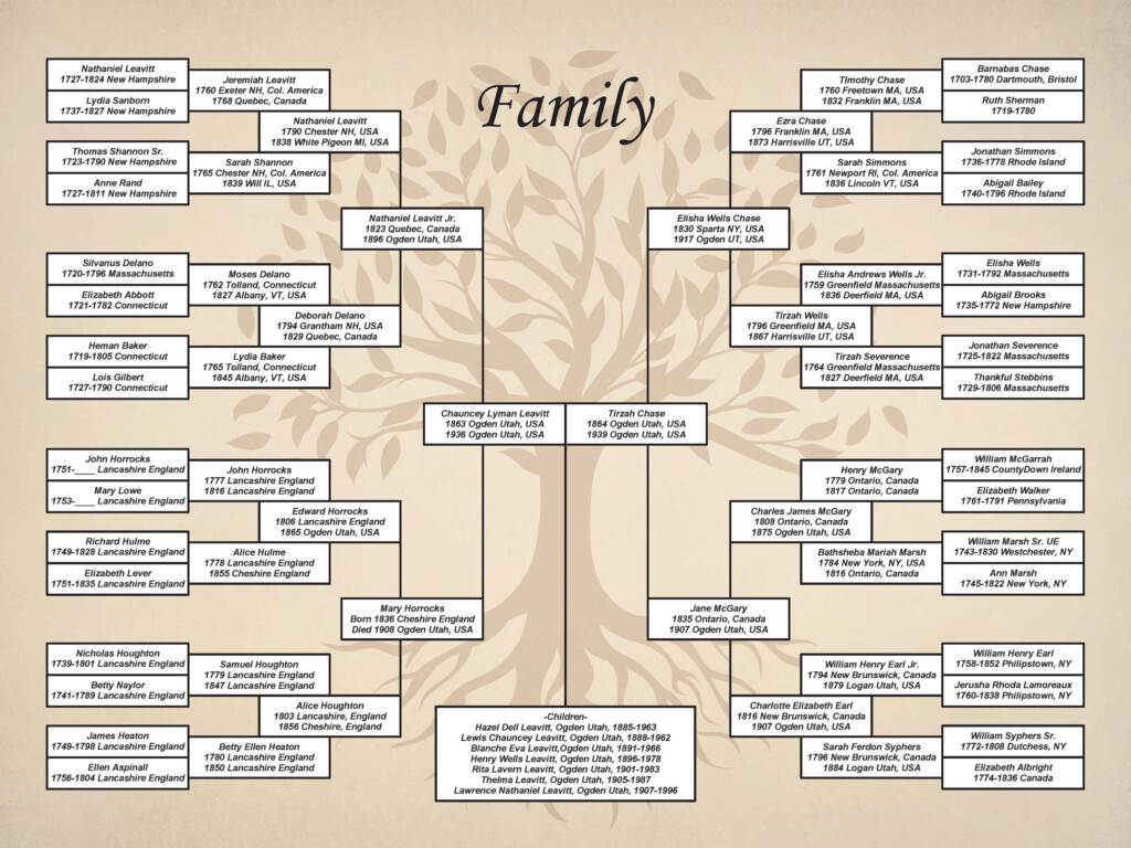 6 Generation Family Tree Template