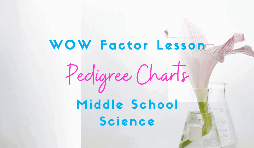 7 Fantastic Pedigree Chart Lesson Ideas For Your Middle School 