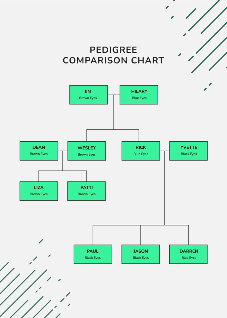 7 Generation Pedigree Chart In Illustrator PDF Download Template