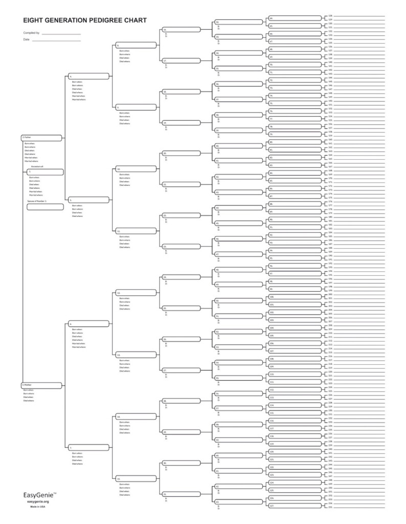 8 Generation Pedigree Chart Template