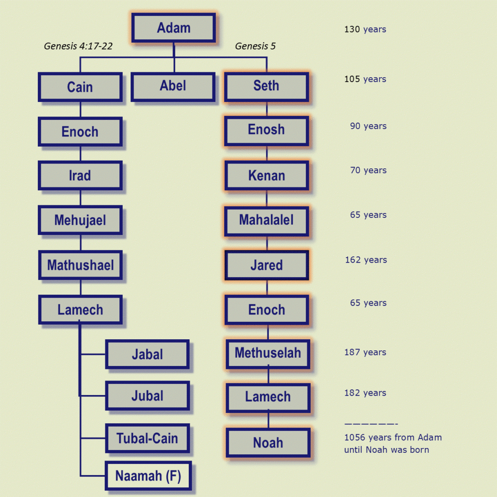 Adam And Eve Family Tree Wall Chart