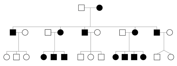 An Introduction To Mitochondrial Inheritance