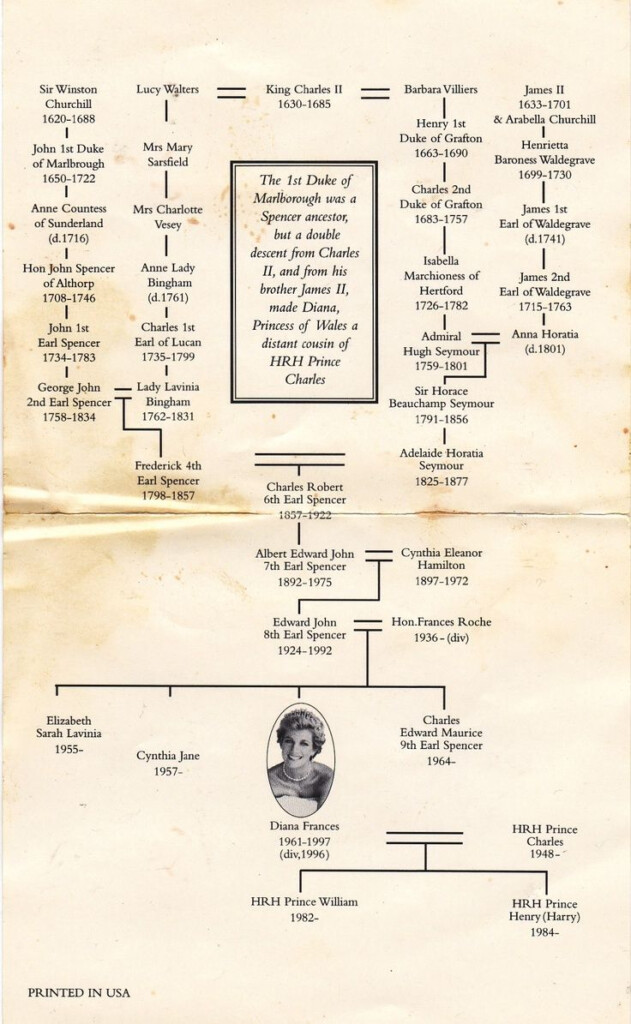 An Old Family Tree Is Shown In Black And White