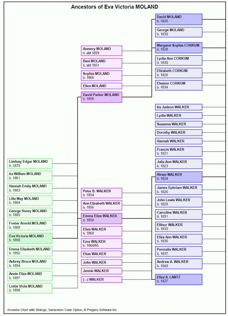 Ancestor Siblings Sample Family Tree Charts