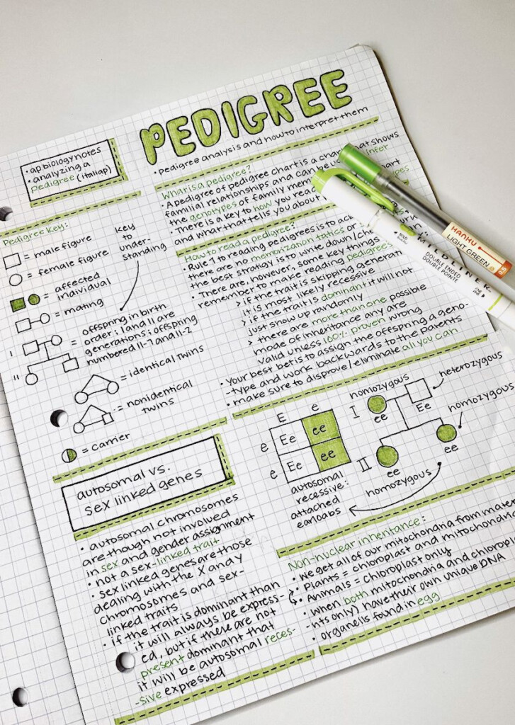 Ap Bio Notes Artofit