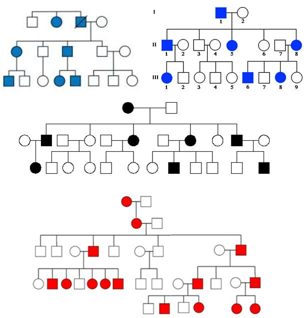 Autosomal Dominant Pedigree Chart
