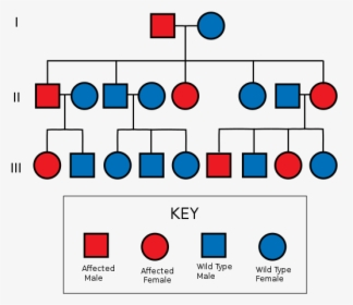 Autosomal Dominant Pedigree Chart Huntington 39 s Disease Pedigree Chart 