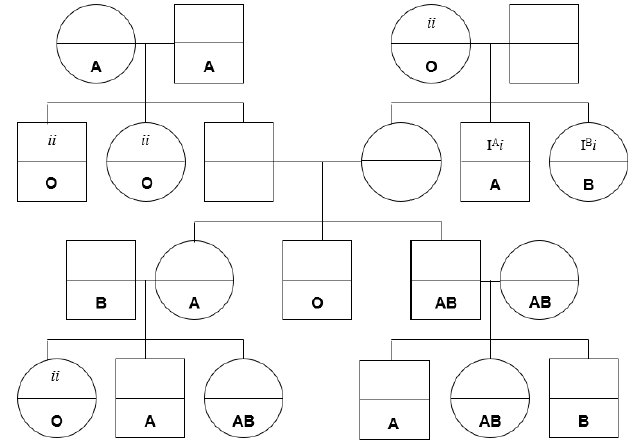 Autosomal Inheritance Explained Definition Examples Practice Video 