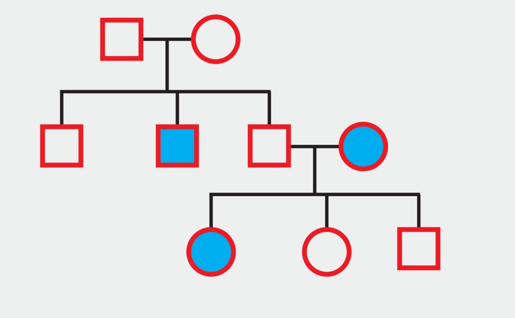 Autosomal Pedigree Chart