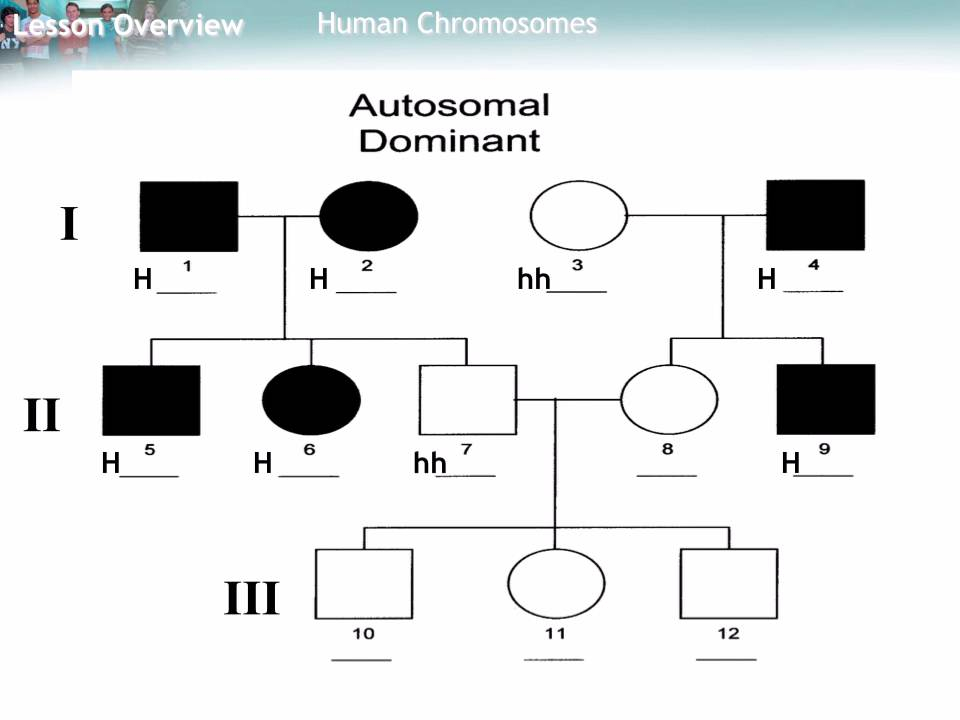 Autosomal Pedigree Chart