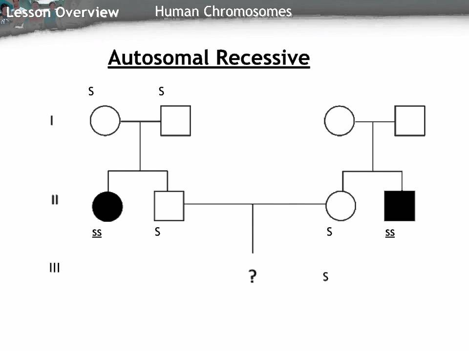 Autosomal Pedigree Chart