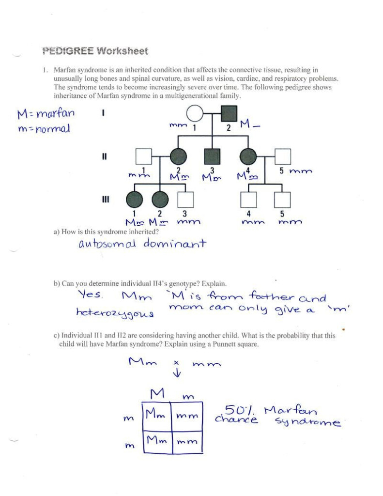 Autosomal Pedigree Worksheet Redwoodsmedia Db excel