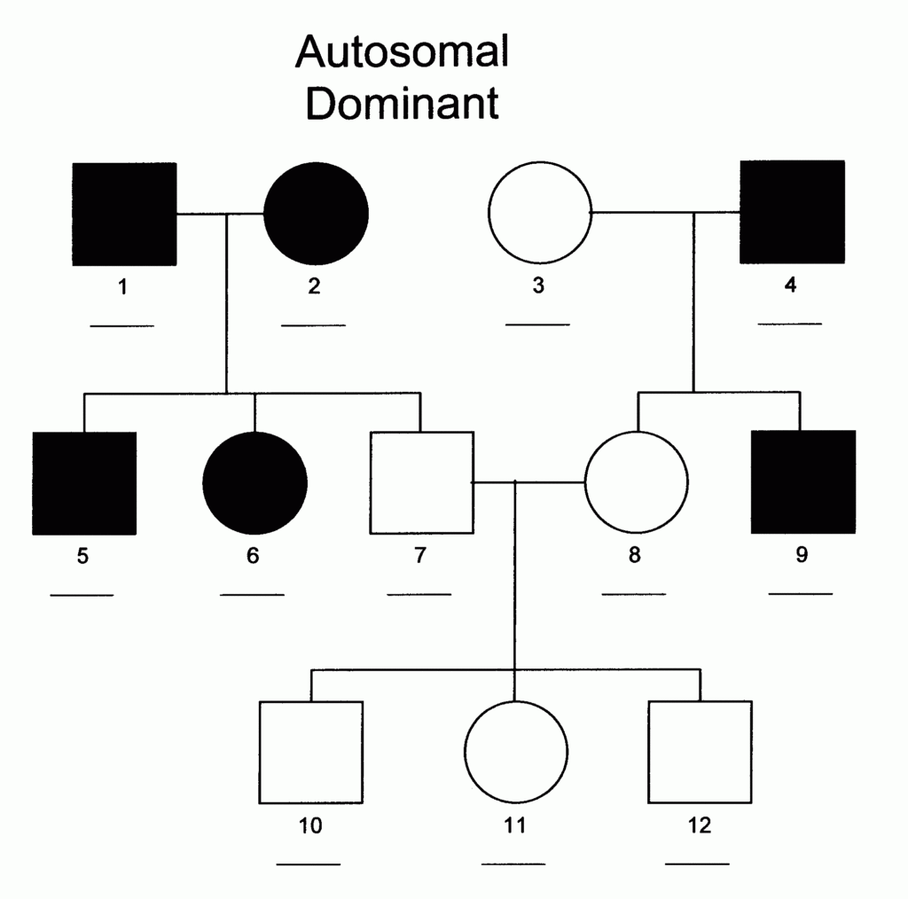 Autosomal Recessive Inheritance Pedigree