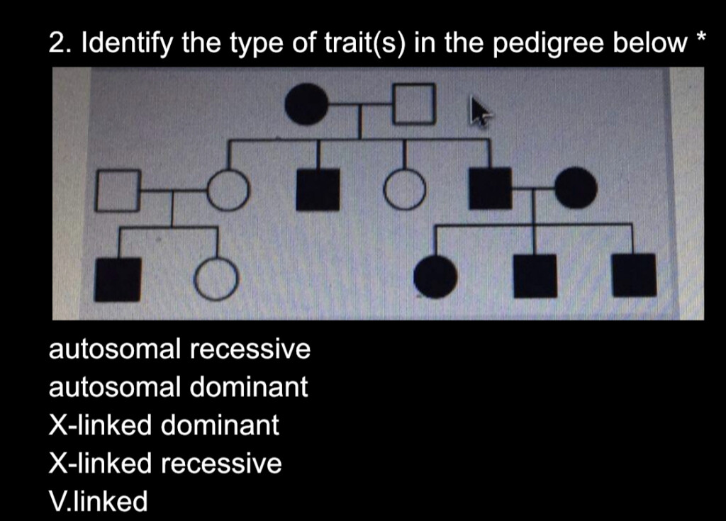 Autosomal Recessive Inheritance Pedigree