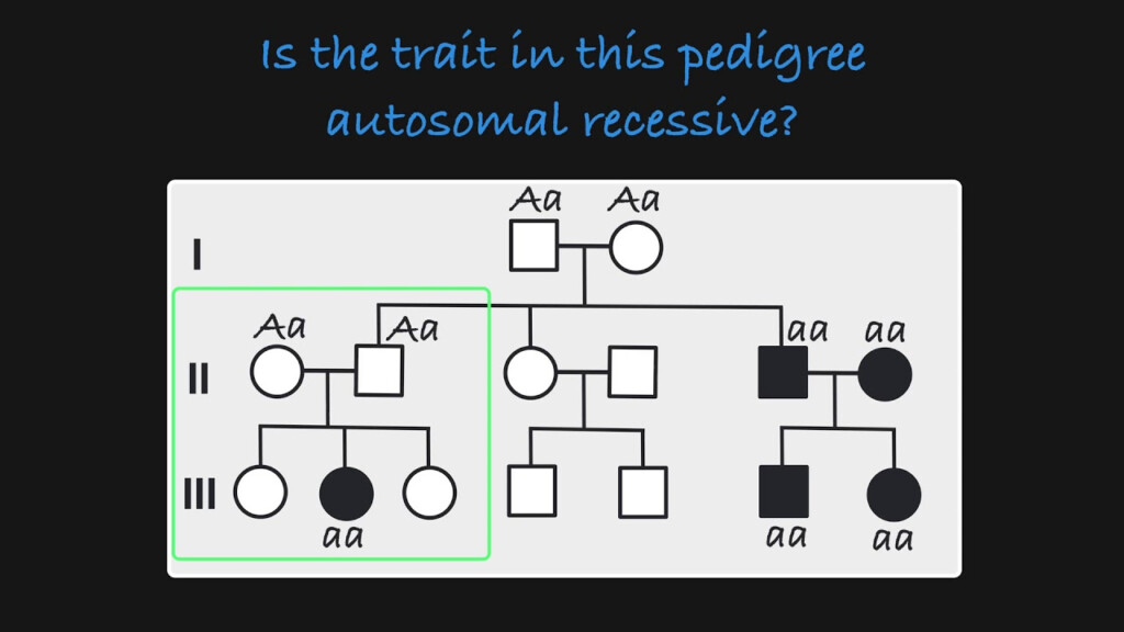 Autosomal Recessive Inheritance Pedigree