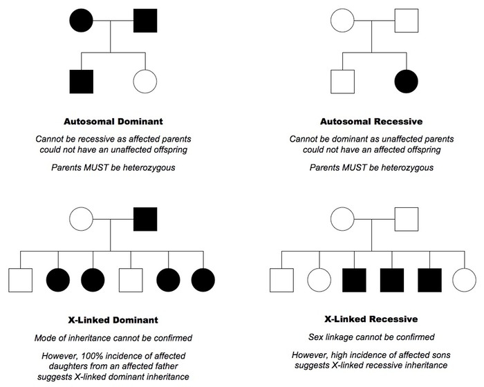 Autosomal Recessive Inheritance Pedigree