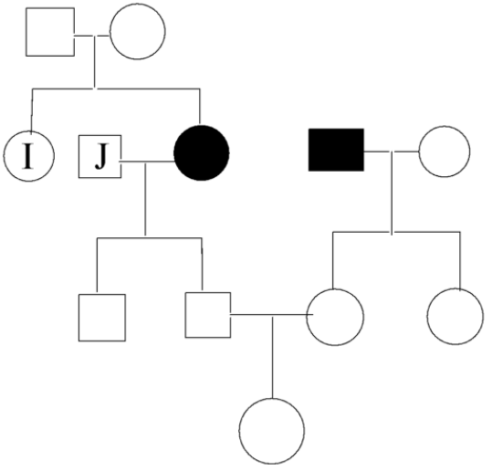 Autosomal Recessive Inheritance Pedigree