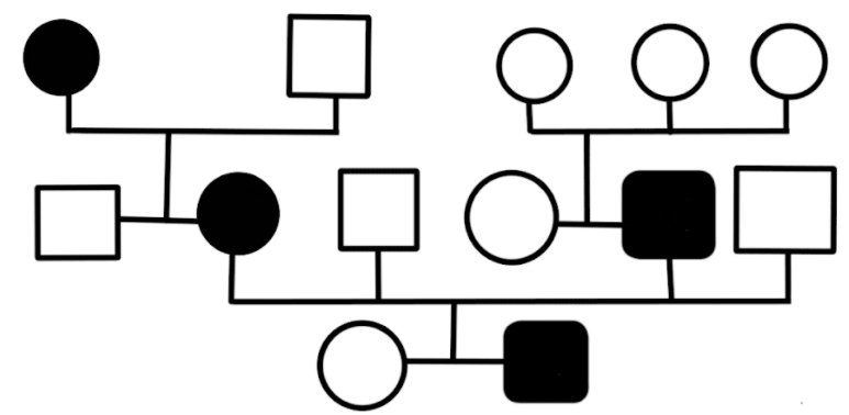 Autosomal Recessive Pedigree Chart Biology Notes Biology Images