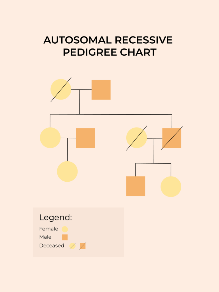 Autosomal Recessive Pedigree Chart In Illustrator PDF Download 