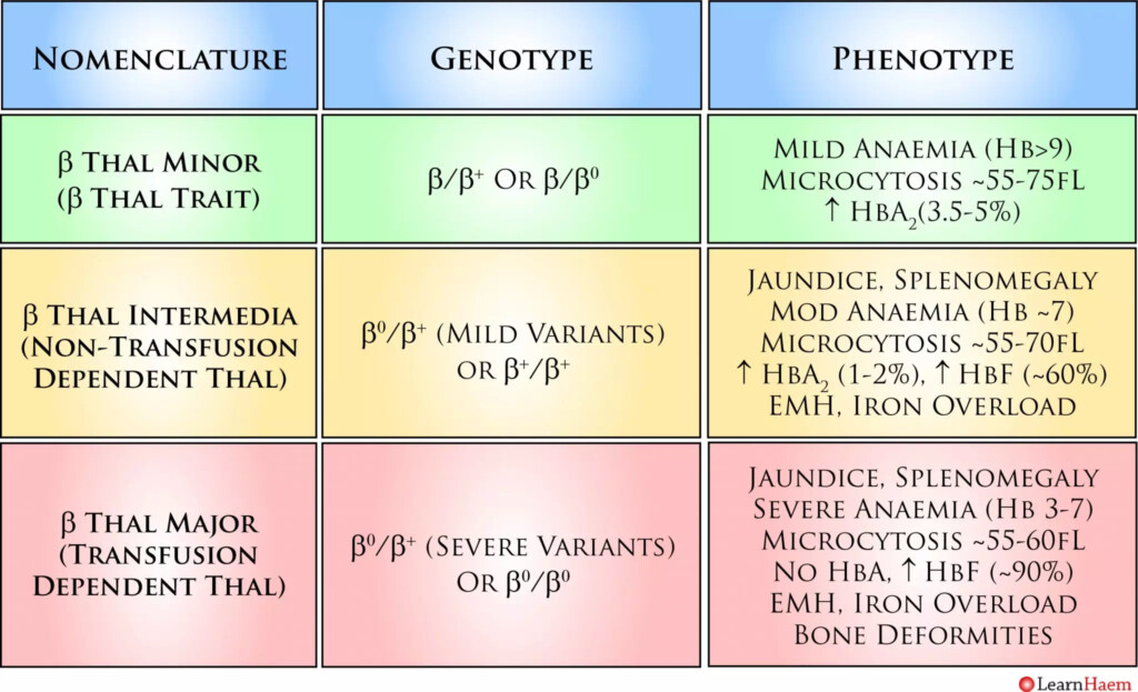 Beta Thalassemia Genotypes
