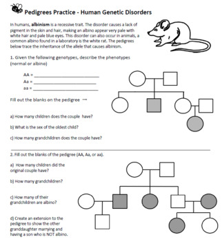 Biologycorner Teachers Pay Teachers