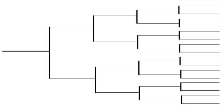 Blank Dog Pedigree Chart To Print Nelobridge