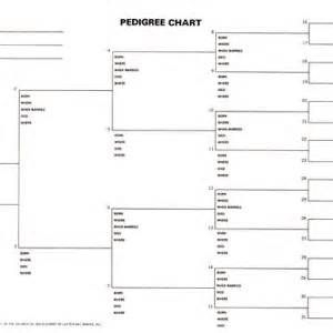 Blank Lds Pedigree Chart Pedigree Chart Genealogy Help Family Genealogy