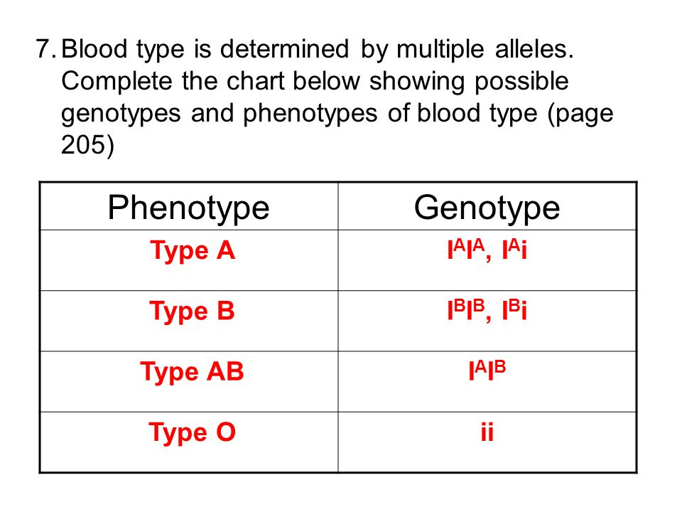 Blood Genotypes And Phenotypes Chart A Visual Reference Of Charts 