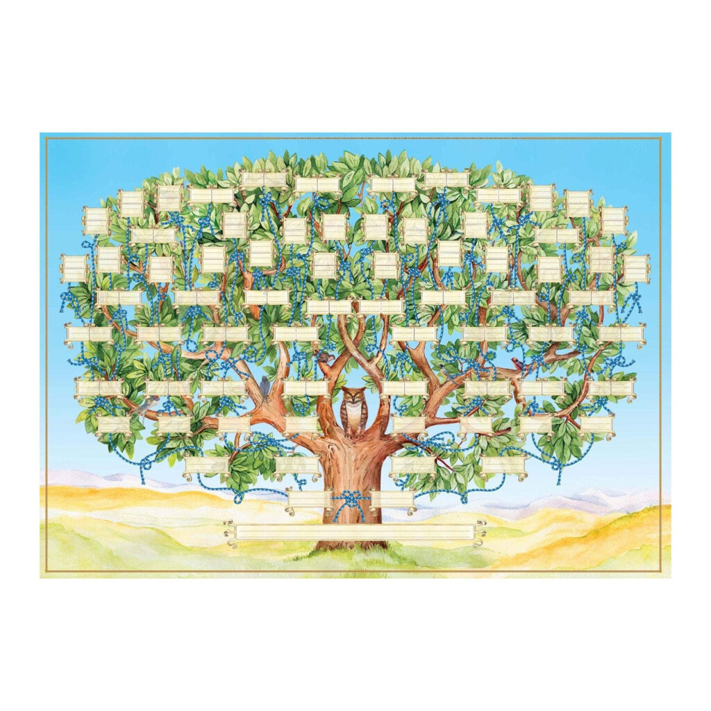 Buy Family Tree Chart To Fill In 6 Generation Genealogy Blank 