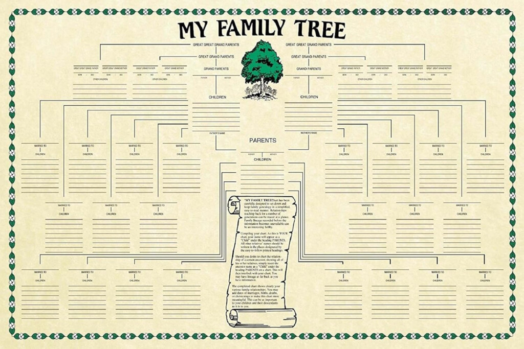 Buy Genealogy Family Tree Chart Online Australia Ubuy