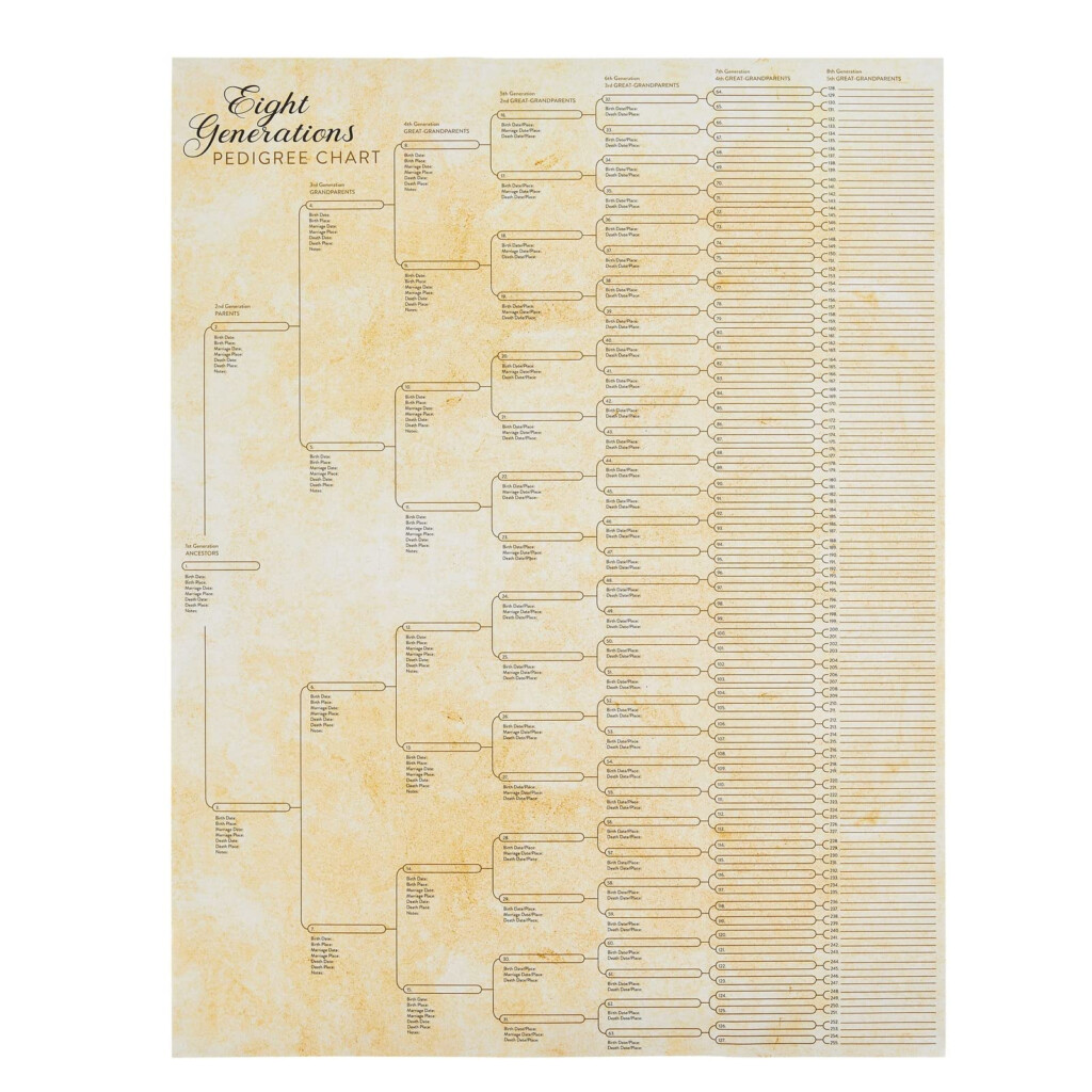 Buy Okuna Outpost 15 Pack Family Tree Charts To Fill In Blank 8 