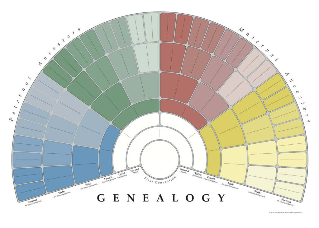 Buy Treeseek Genealogy Fan Wall Chart Large Blank Fillable Pedigree 
