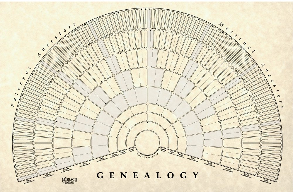 Buy TreeSeekGenealogy Fan Wall Chart Large Blank Fillable Pedigree 