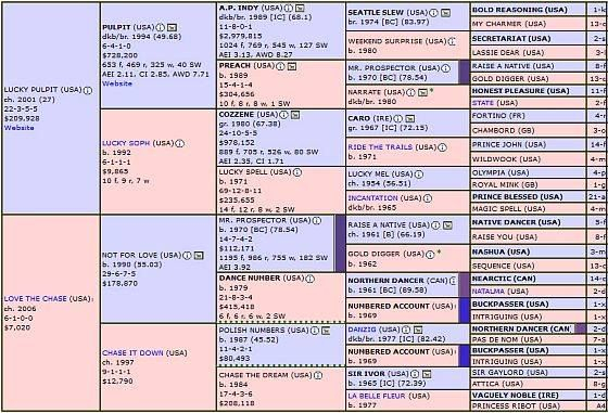 California Chrome 39 s Pedigree Seattle California Chrome Racehorse 