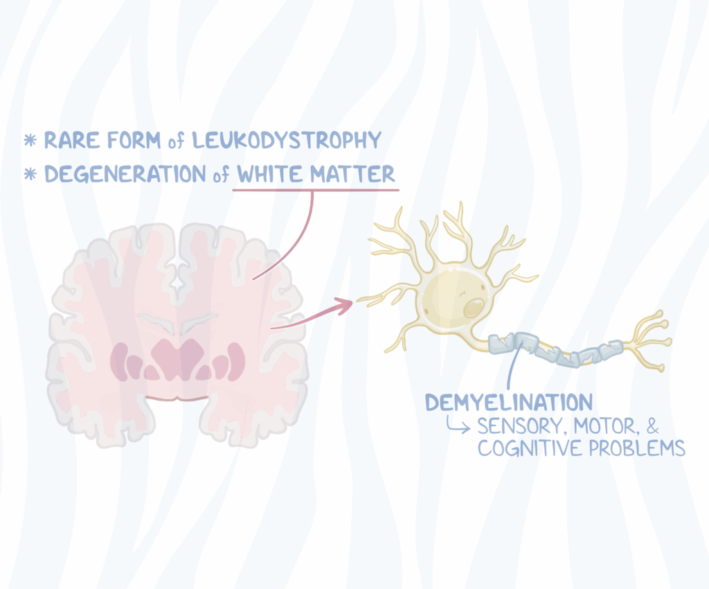 Canavan Disease