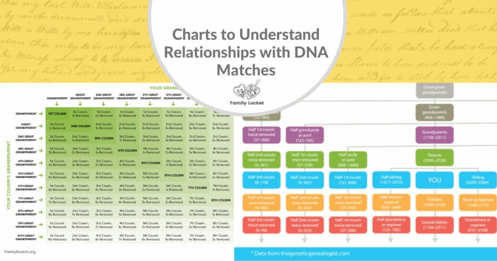 Charts To Understand Relationships With DNA Matches Family Locket